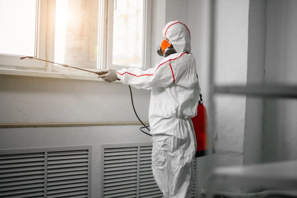 Professional mold remediation services in Whitehall, MI